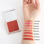 Load image into Gallery viewer, PHOERA Radiant Matte Powder Blush
