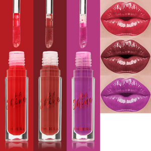 Cushiony High Gloss Lip Gloss Kits